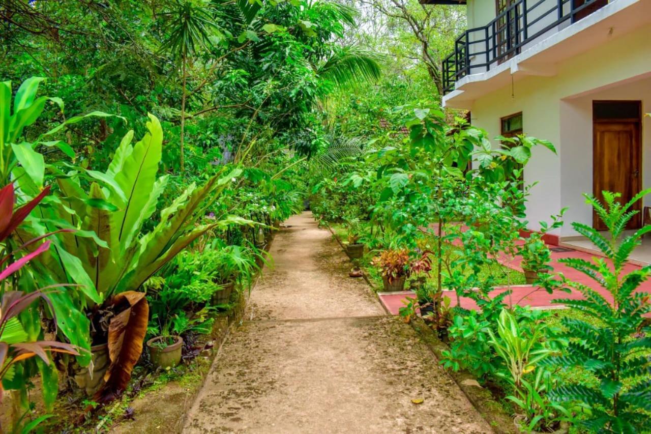 Weaver Bird Villa Habarana Exterior foto